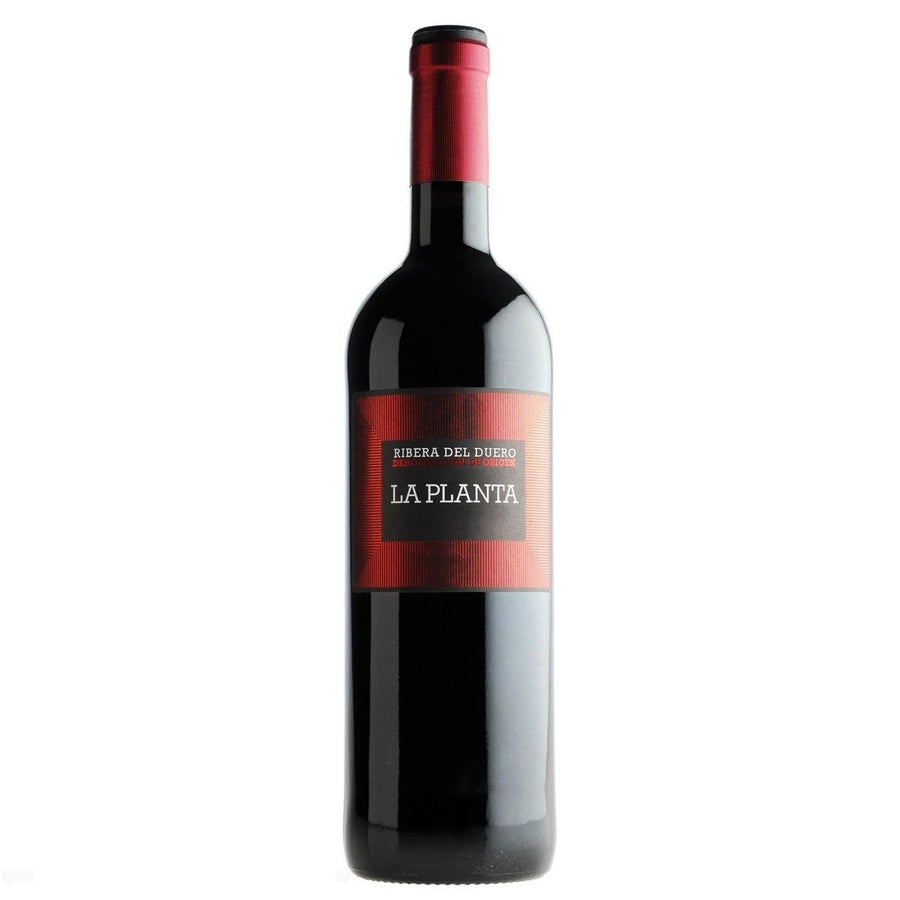 Pack de 6 Vino Tinto La Planta Tempranillo 750 ml