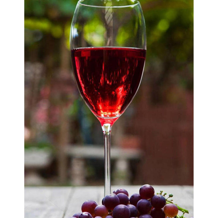 Vino Tinto L.A. Cetto Cabernet Sauvignon Reserva Privada 750 ml