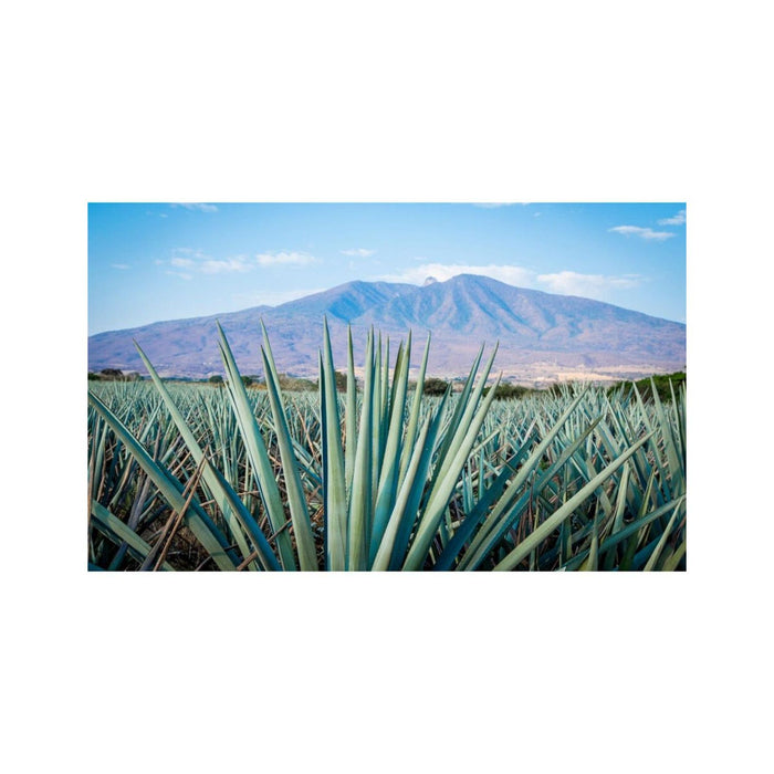 jpg_1500x1500_47251560