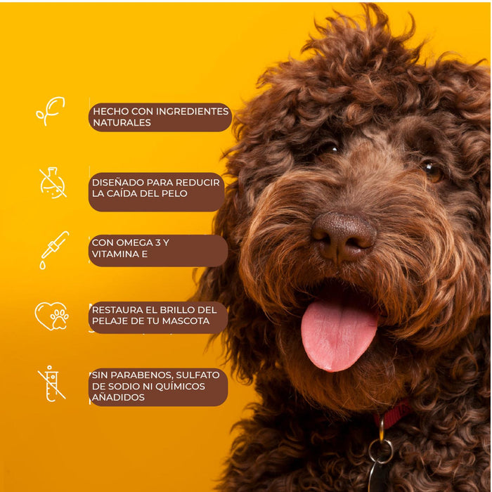 jpg_1500x1500_65004198