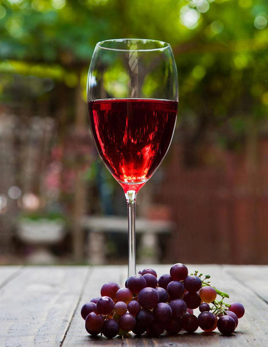 Vino Tinto Izadi Reserva 750 ml