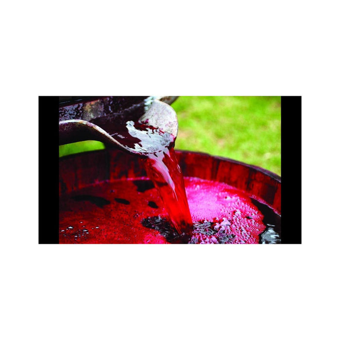 Vino Tinto Encinillas Megacero Premium Blend 750 ml