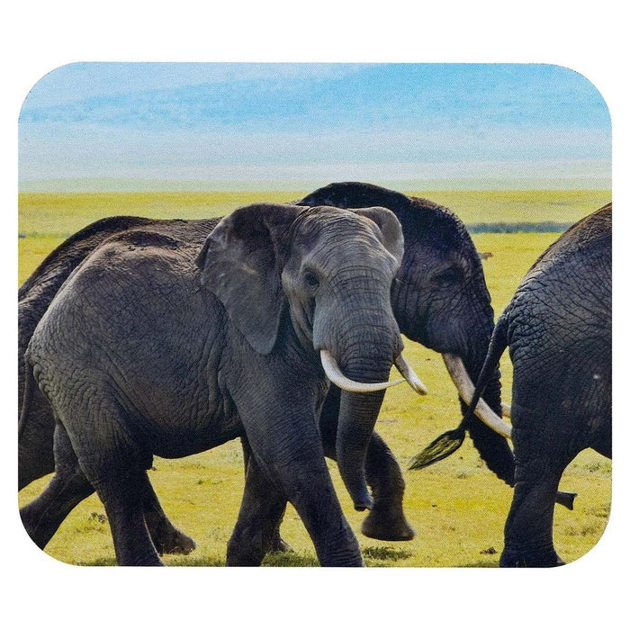 jpg_1500x1500_67415113