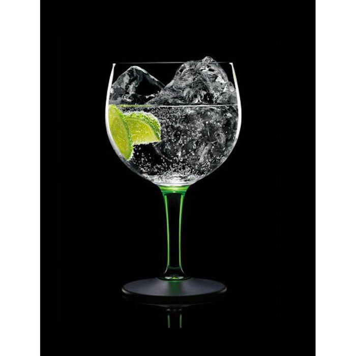 Pack de 6 Ginebra Salamandra Fest Pet 1 L